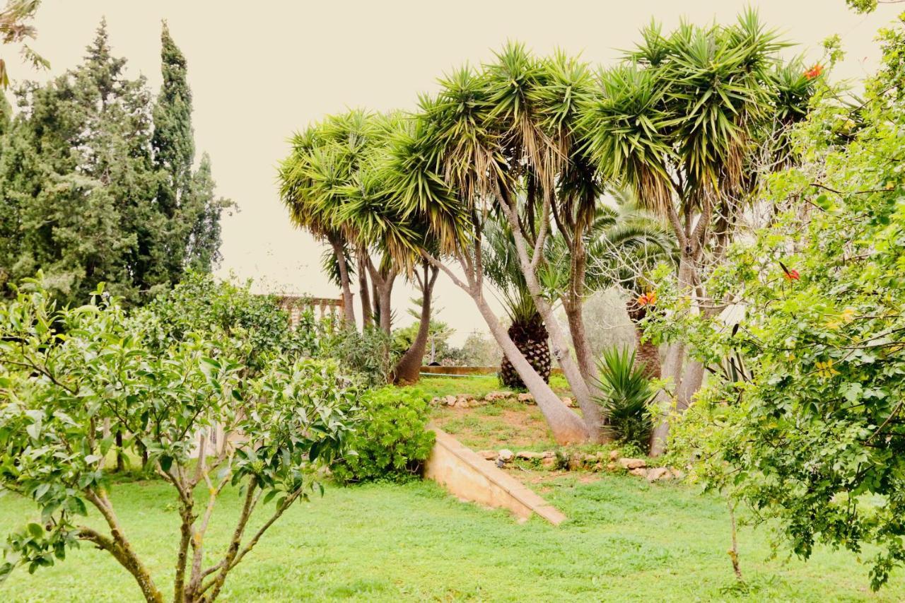 Randa, Llucmayor, Bis 3 Sz, Pool, Garten Llucmajor (Mallorca)