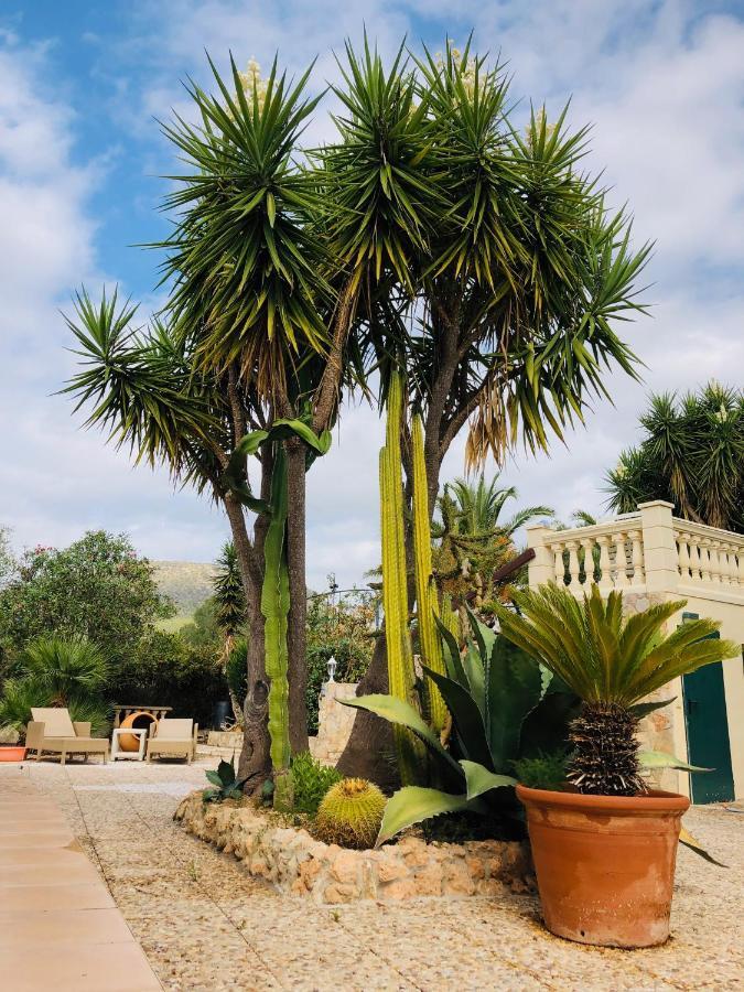 Randa, Llucmayor, Bis 3 Sz, Pool, Garten Ferienhaus Llucmajor (Mallorca)