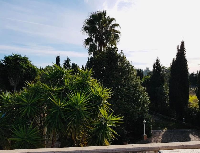 Randa, Llucmayor, Bis 3 Sz, Pool, Garten Llucmajor (Mallorca)